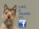 Click to the Vet Care Express Facebook page!